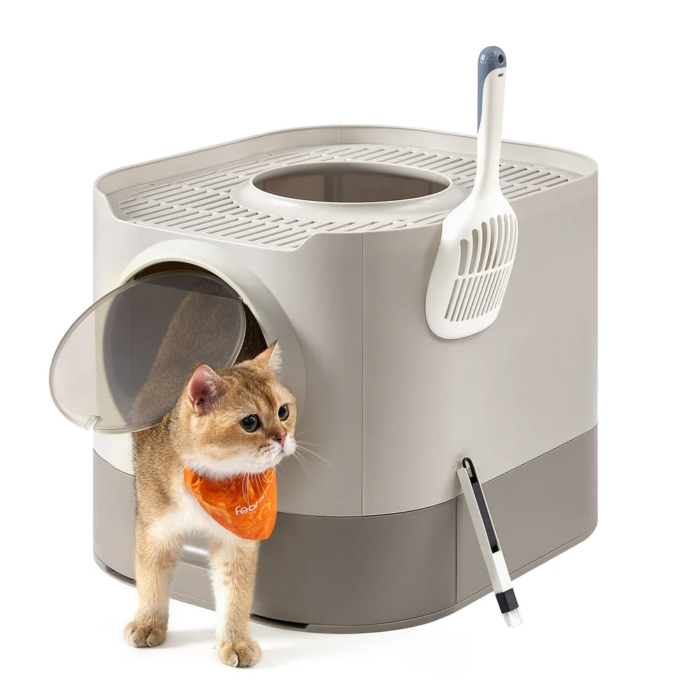 Cat Litter Box with Lid