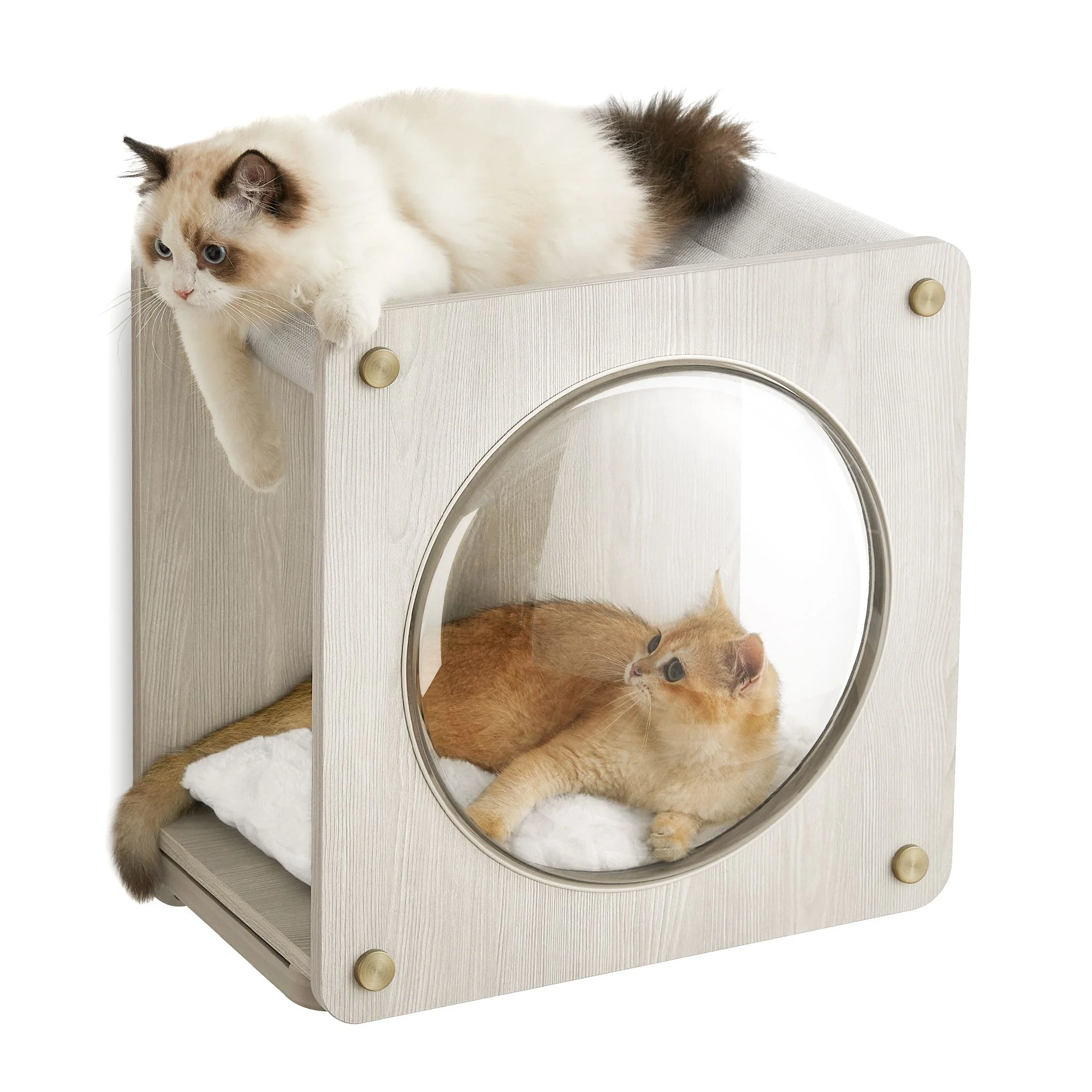 Wall-Mounted Cat Cave with Observation Window